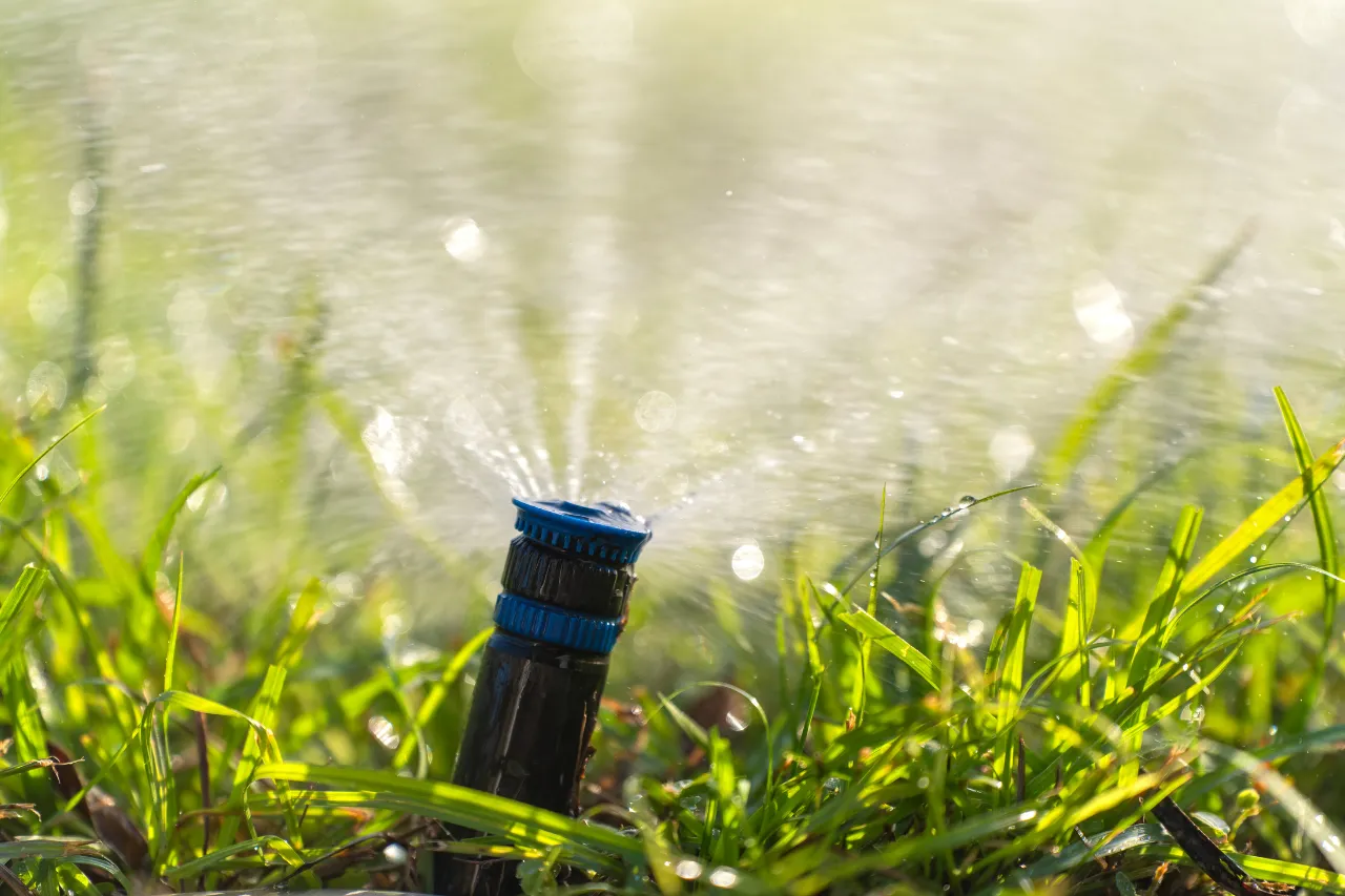 Irrigatore a spruzzo bagna prato verde al sole