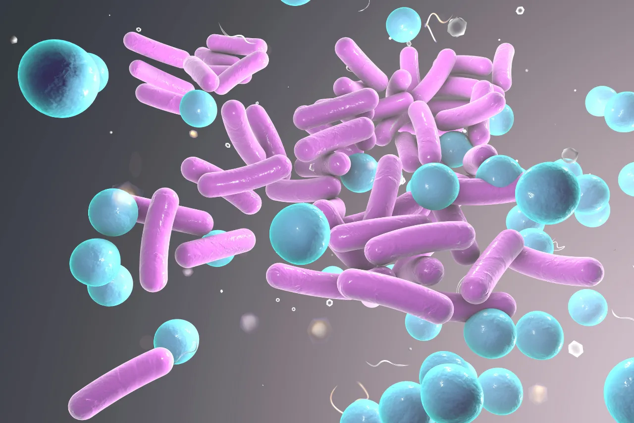 Illustrazione 3D di batteri viola e cellule blu