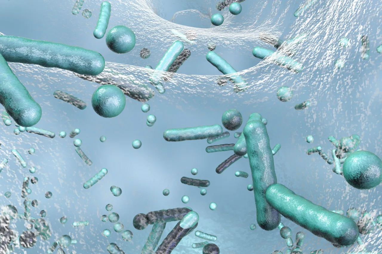 Illustrazione 3D di batteri sospesi in acqua