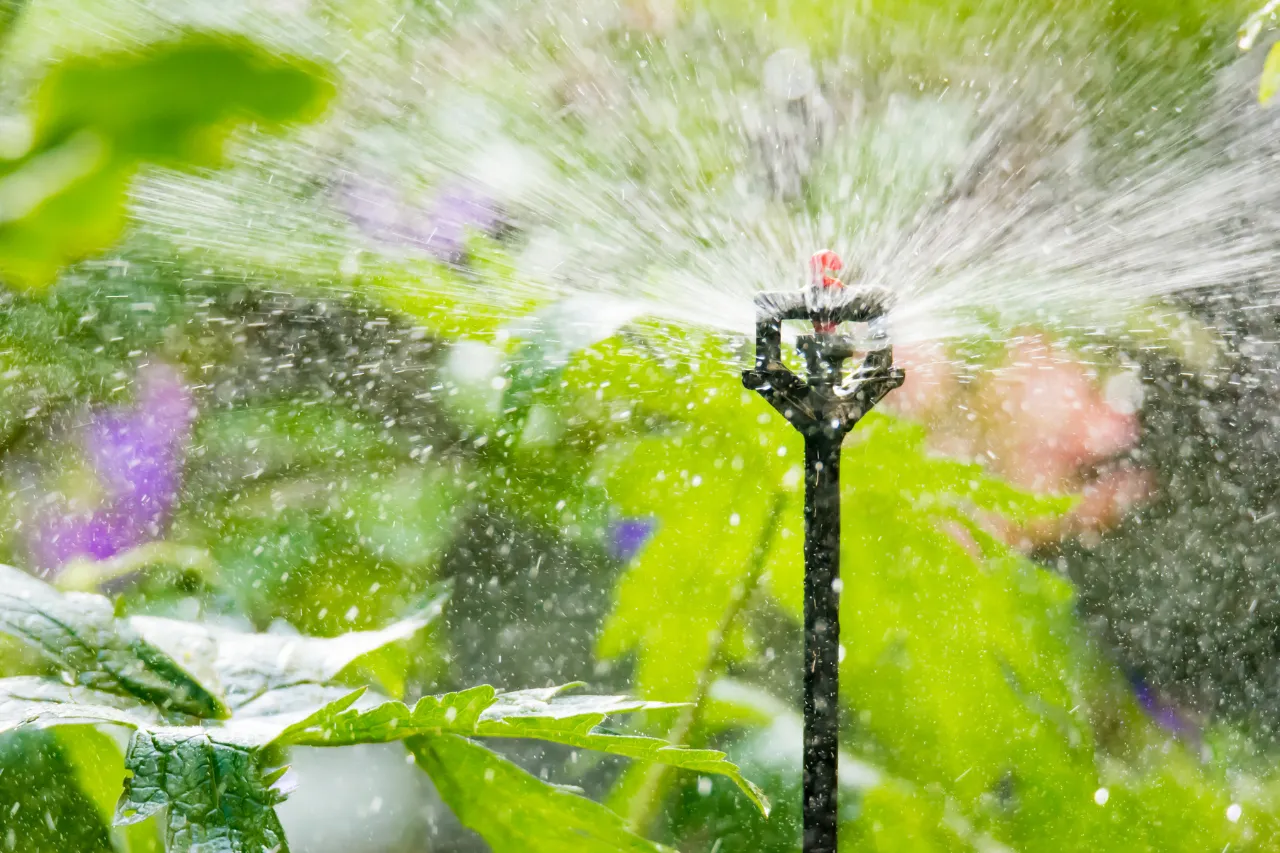 Irrigatore a pioggia innaffia piante verdi in giardino