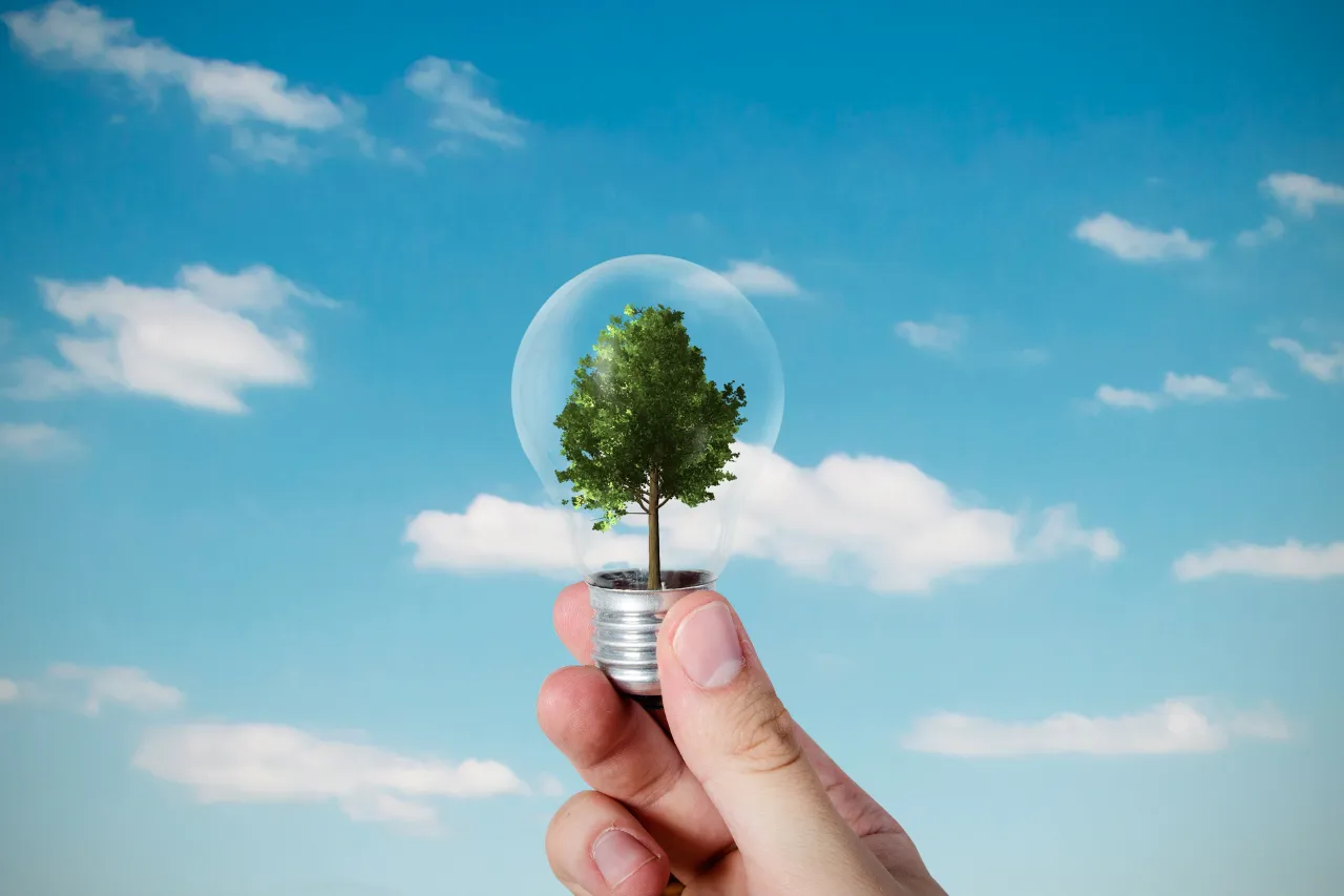 Mano regge lampadina con albero contro cielo azzurro