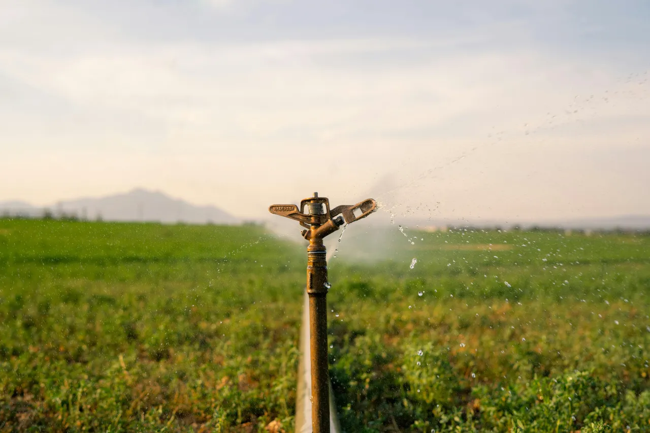 Irrigatore a pioggia annaffia un campo verde