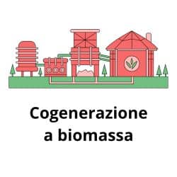 Cogenerazione a biomassa