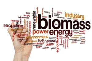 foto biomassa e energia rinnovabile
