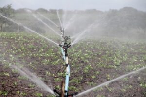 impianti di irrigazione fuori terra per agricoltura